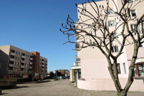 Hotels in Stettin